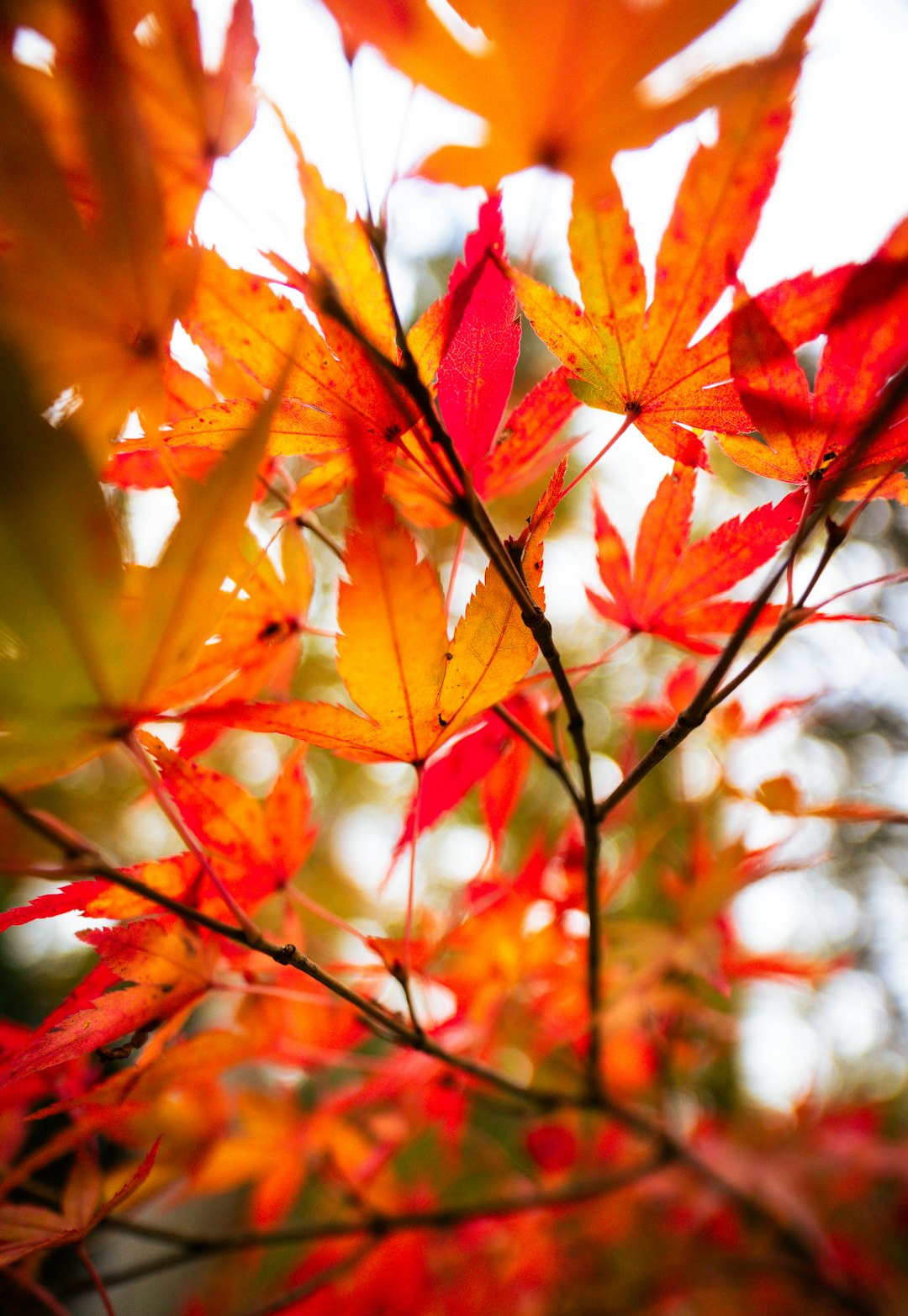 Seasonal Makeup Trends